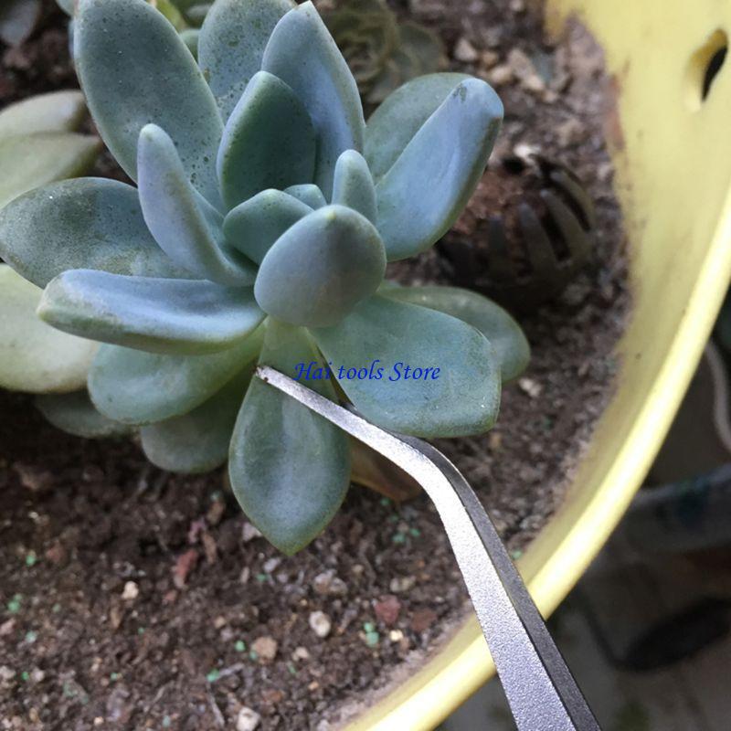 Bonsai Garden Shop - X37e 2 en 1 espátula rastrillo