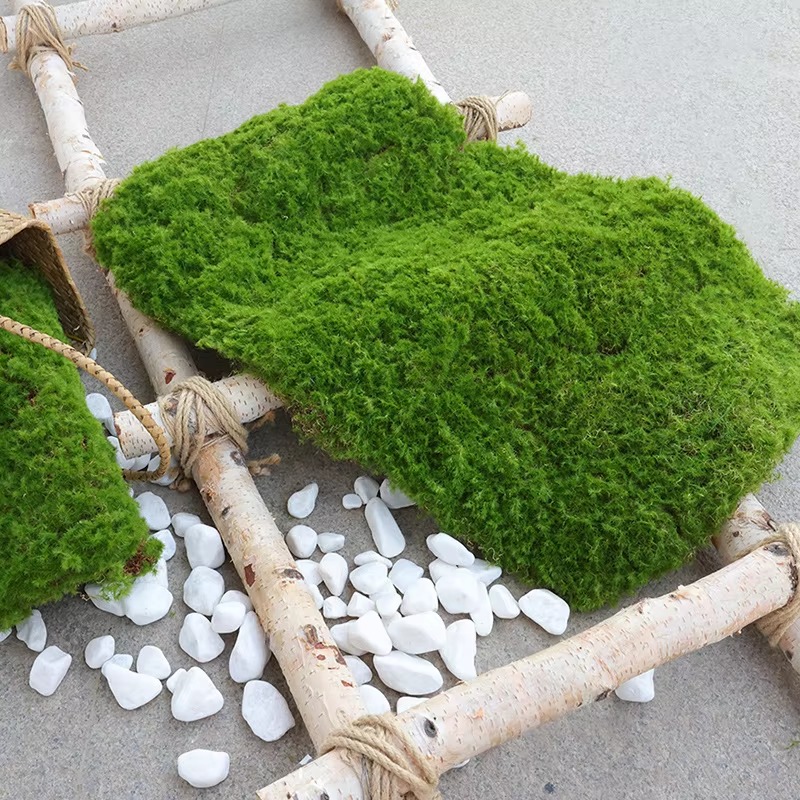 Bonsai Garden Shop - Alfombra de césped Artificial, alfombra de