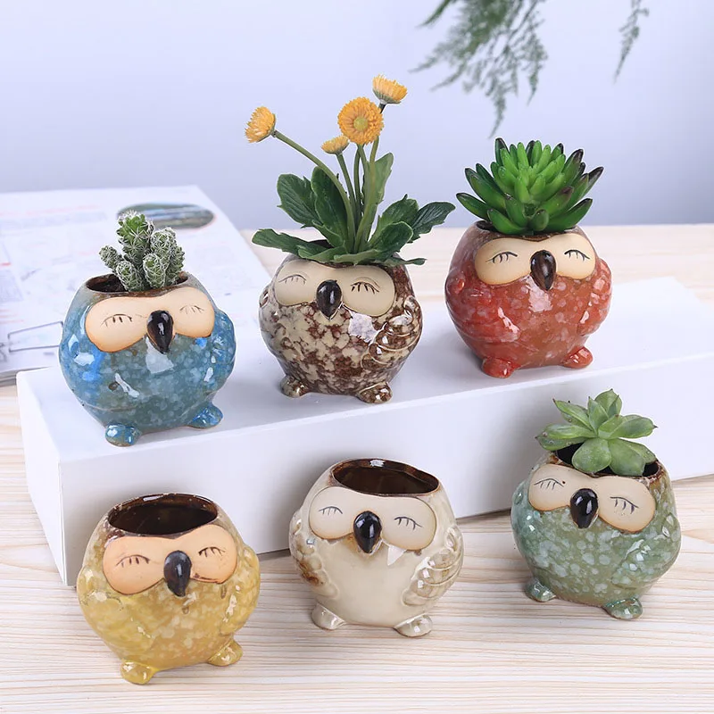 Bonsai Garden Wall - Mini Maceta de Cerámica con Forma
