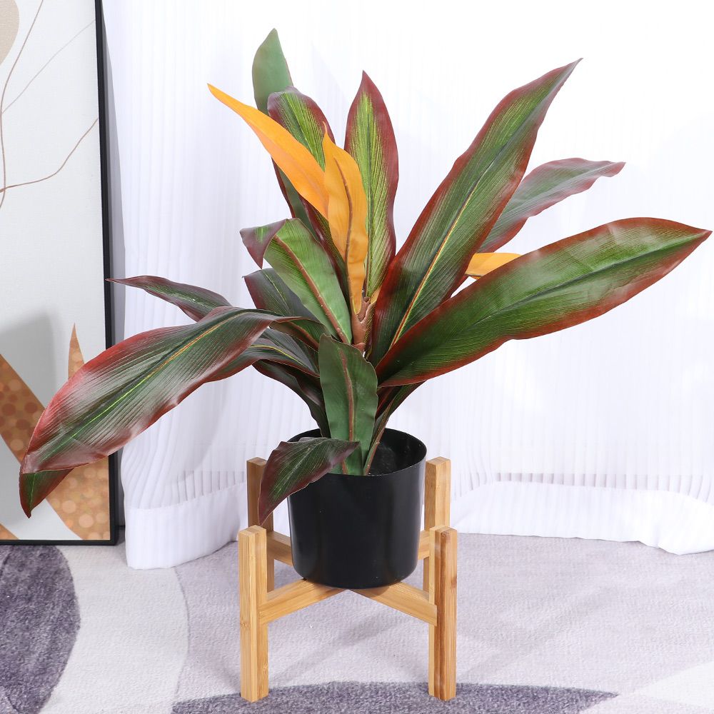 Soporte de madera para maceta, - Bonsai Garden Display reseña y precio