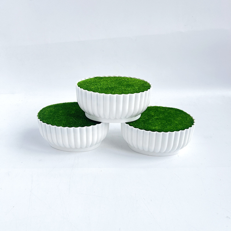 Proceso de moldeo por inyecció - Bonsai Garden Shop reseña y precio