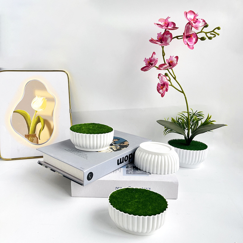 Proceso de moldeo por inyecció - Bonsai Garden Shop reseña y precio