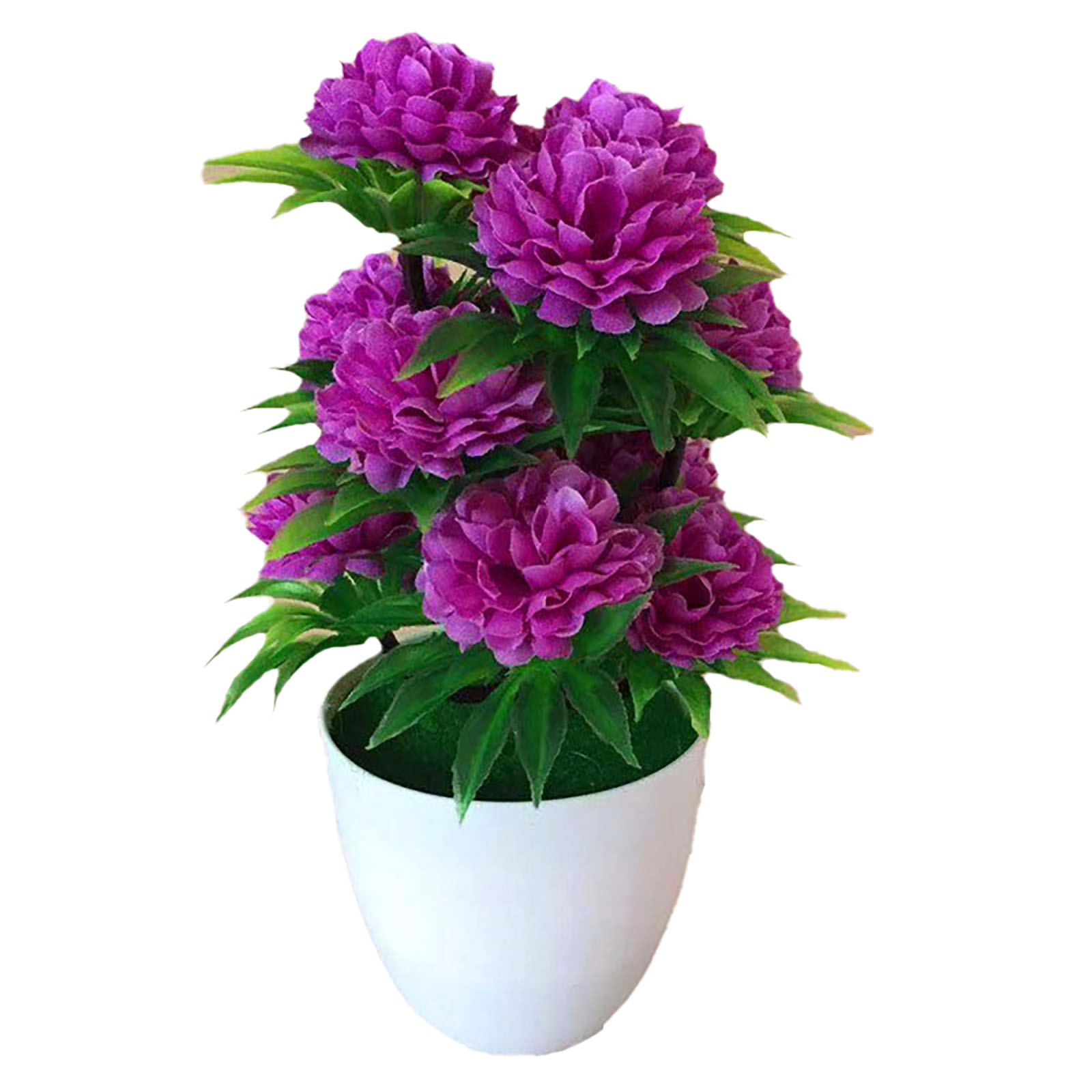 Hermosa Decoración, Elegante B - Bonsai Garden Shop reseña y precio