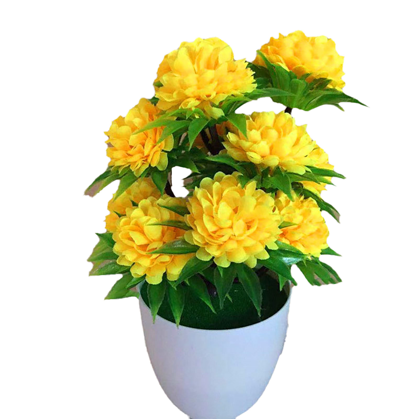 Hermosa Decoración, Elegante B - Bonsai Garden Shop reseña y precio