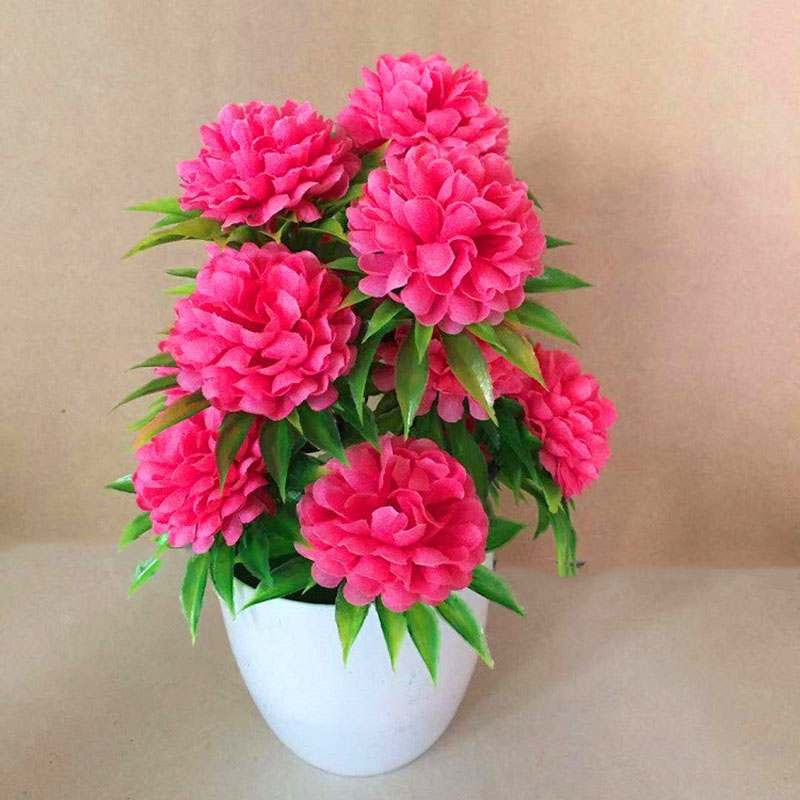 Hermosa Decoración, Elegante B - Bonsai Garden Shop reseña y precio