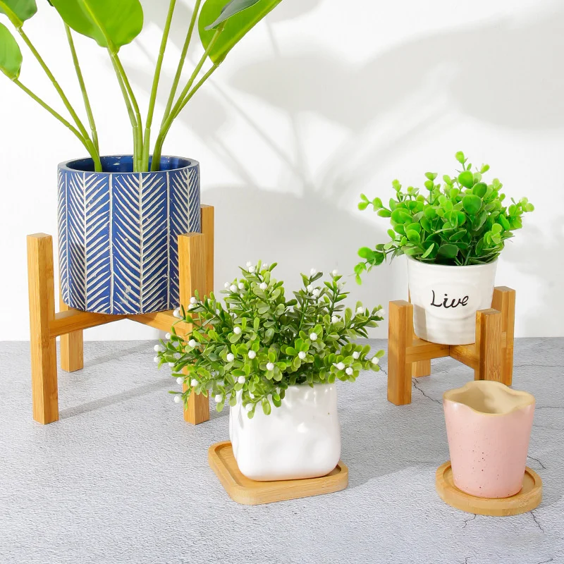 Soporte para maceta para plant - Bonsai Garden Display reseña y precio
