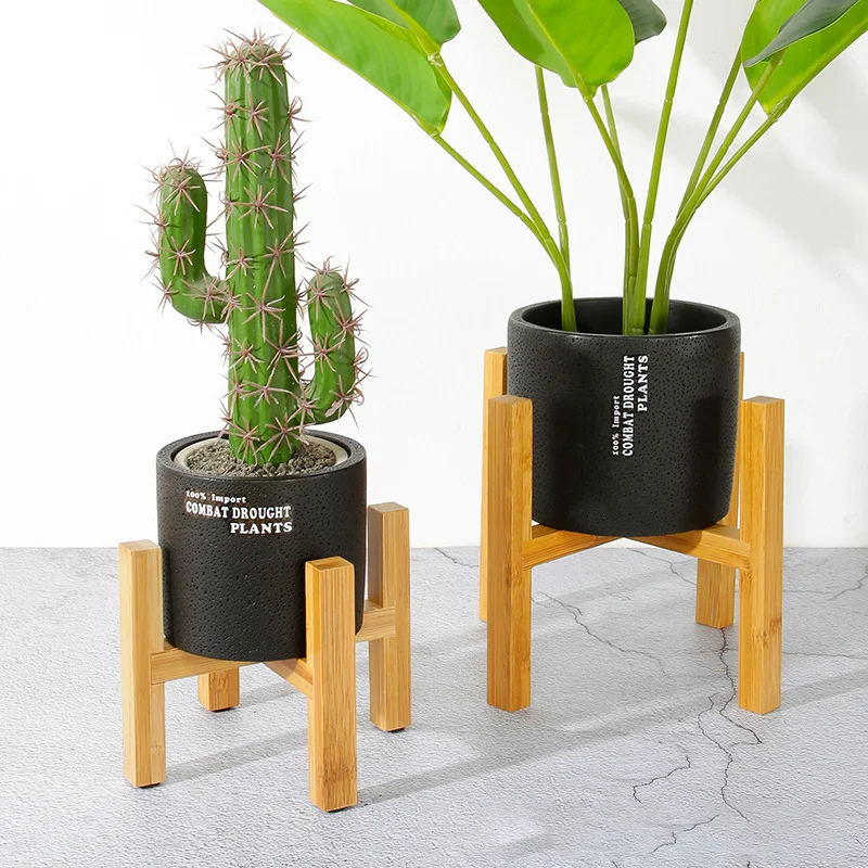 Soporte para maceta para plant - Bonsai Garden Display reseña y precio