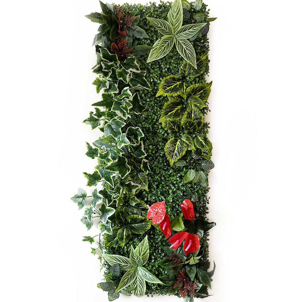 NUEVO Panel de Pared de Planta - Bonsai Garden Wall reseña y precio