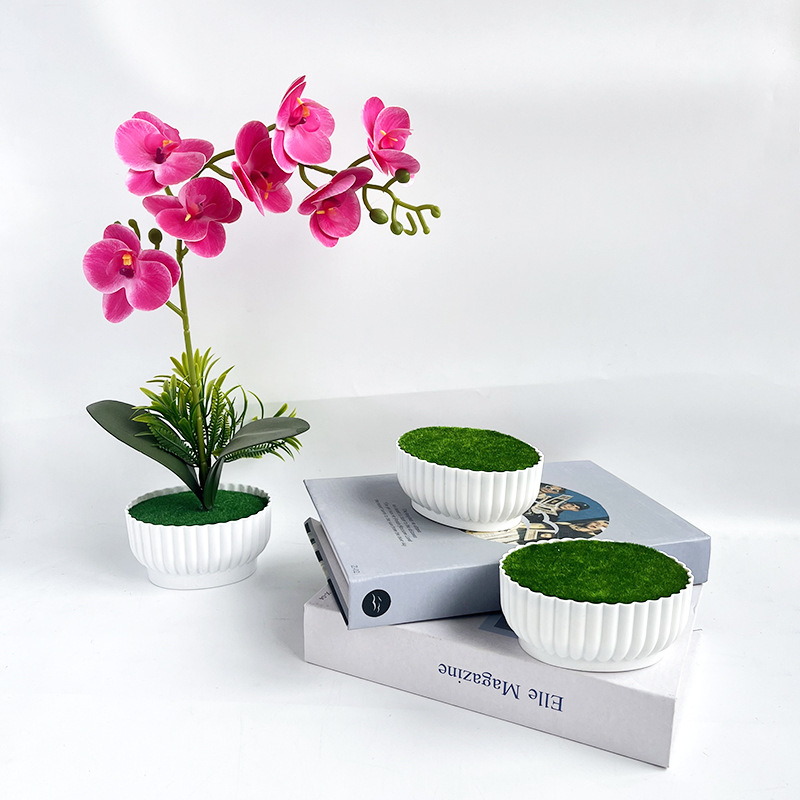 Maceta de imitación resistente - Bonsai Garden Shop reseña y precio