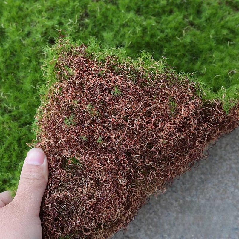 Alfombra de césped Artificial, - Bonsai Garden Shop reseña y precio