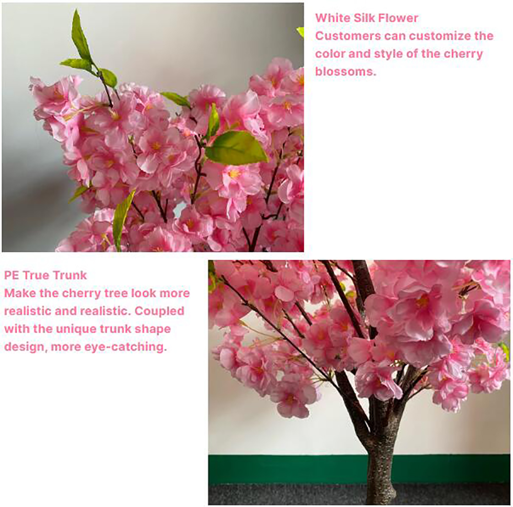 Arco de árbol de flor de cerez - Bonsai Garden Shop reseña y precio