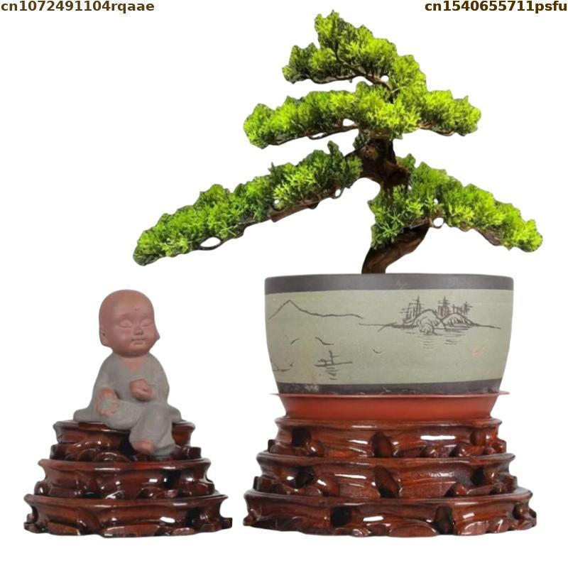 Florero de pie de 6-30cm de di - Bonsai Garden Display reseña y precio