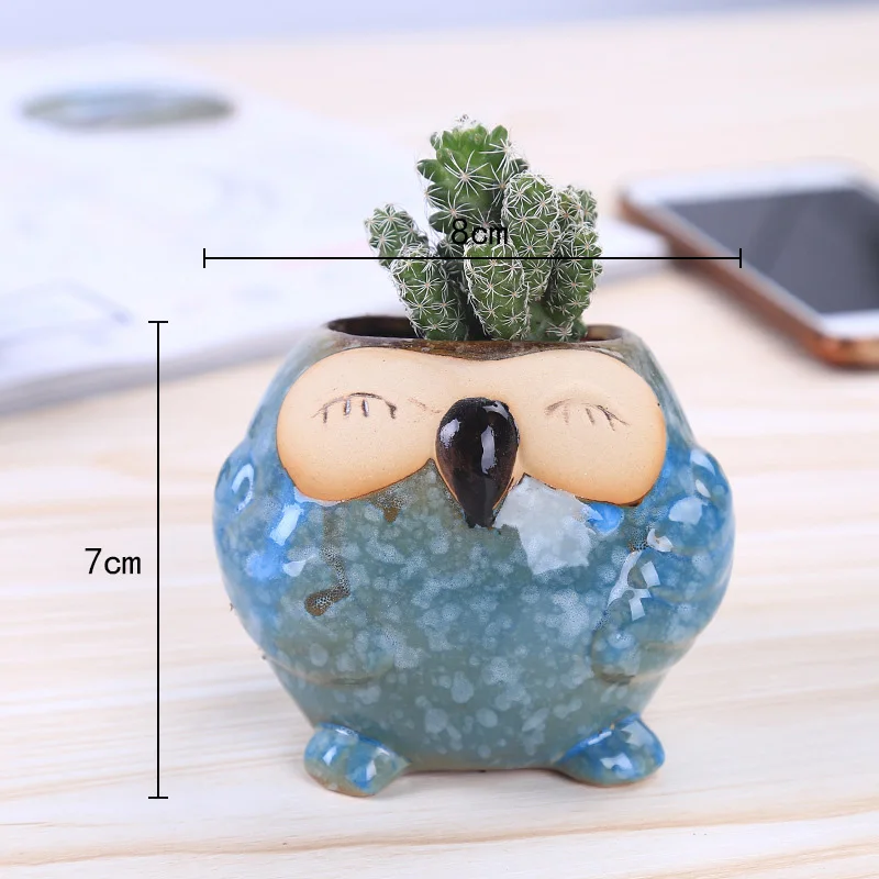 Mini Maceta de Cerámica con Fo - Bonsai Garden Wall reseña y precio